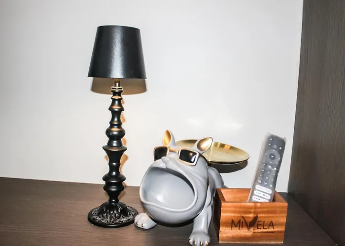 Gasthuis Snug Plug